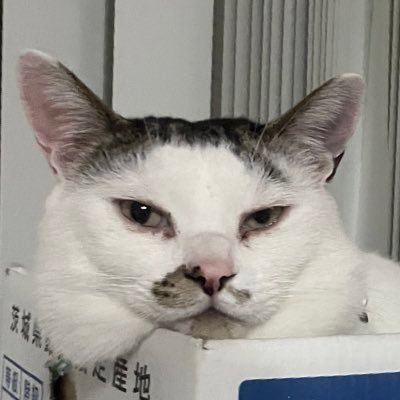 髙橋荘悟